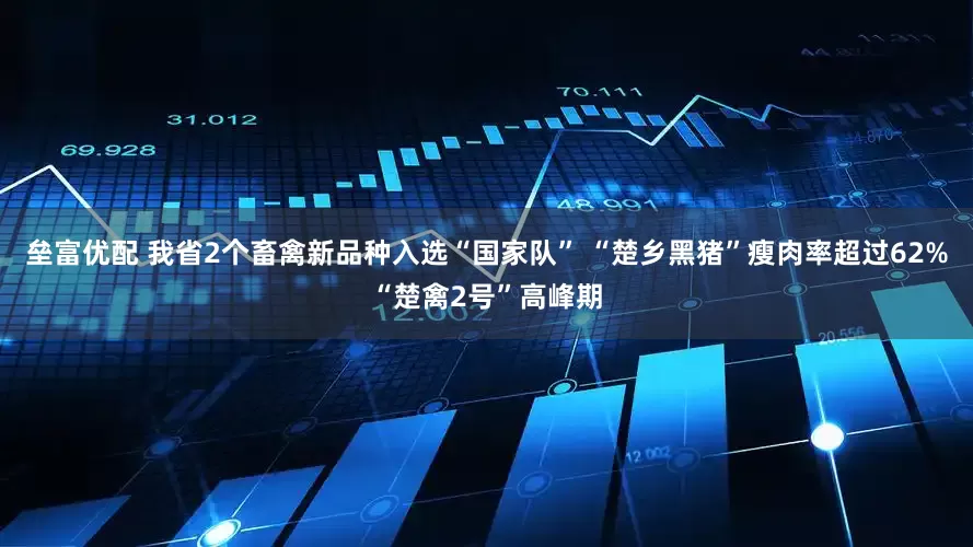 垒富优配 我省2个畜禽新品种入选“国家队” “楚乡黑猪”瘦肉率超过62%“楚禽2号”高峰期