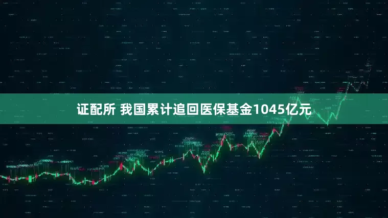 证配所 我国累计追回医保基金1045亿元