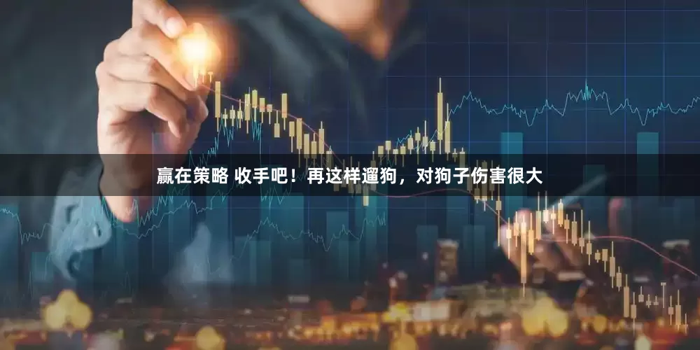 赢在策略 收手吧！再这样遛狗，对狗子伤害很大