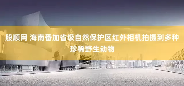 股顺网 海南番加省级自然保护区红外相机拍摄到多种珍稀野生动物