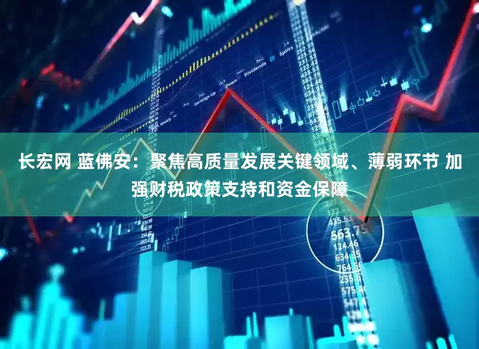 长宏网 蓝佛安：聚焦高质量发展关键领域、薄弱环节 加强财税政策支持和资金保障