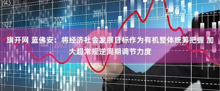 旗开网 蓝佛安：将经济社会发展目标作为有机整体统筹把握 加大超常规逆周期调节力度