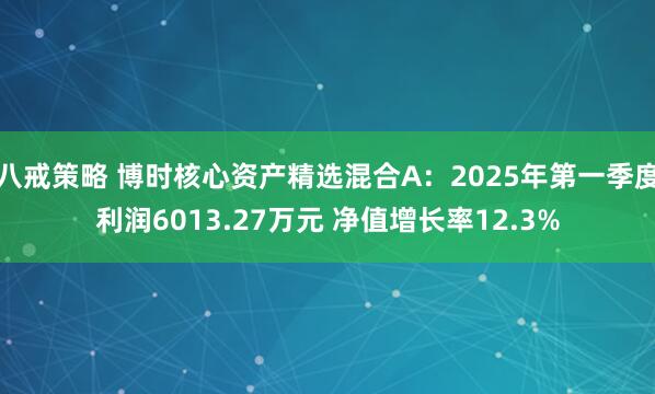 八戒策略 博时核心资产精选混合A：2025年第一季度利润6013.27万元 净值增长率12.3%