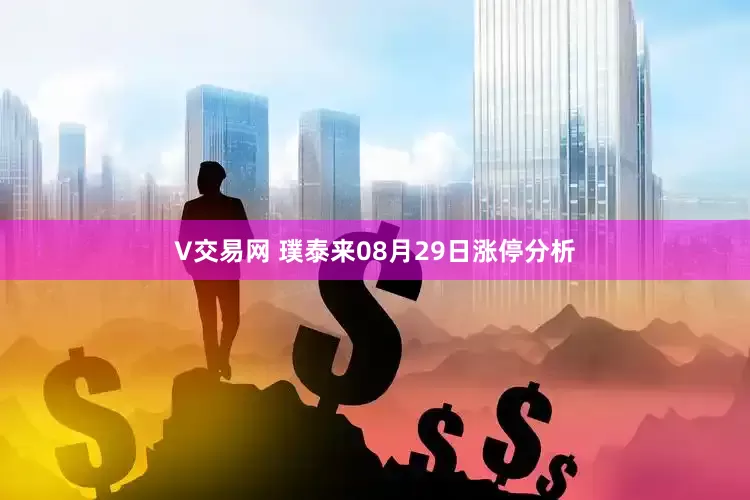 V交易网 璞泰来08月29日涨停分析