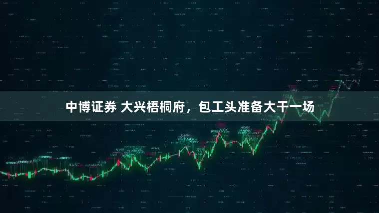 中博证券 大兴梧桐府，包工头准备大干一场